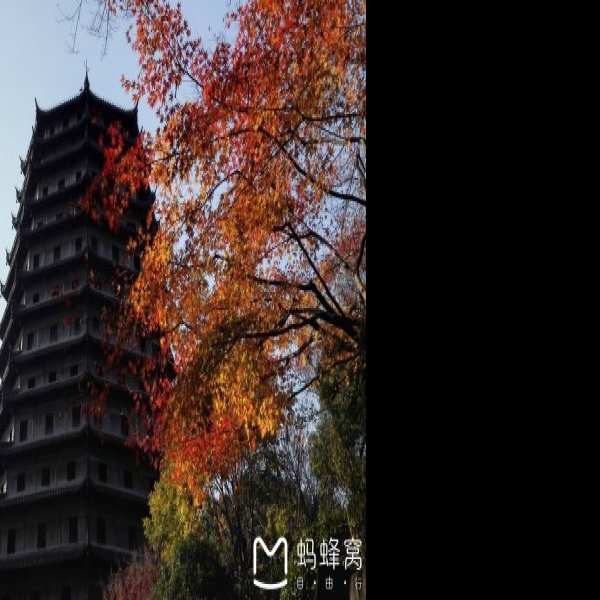 六和塔公园 - 图片7