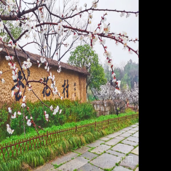 池州杏花村 - 图片1