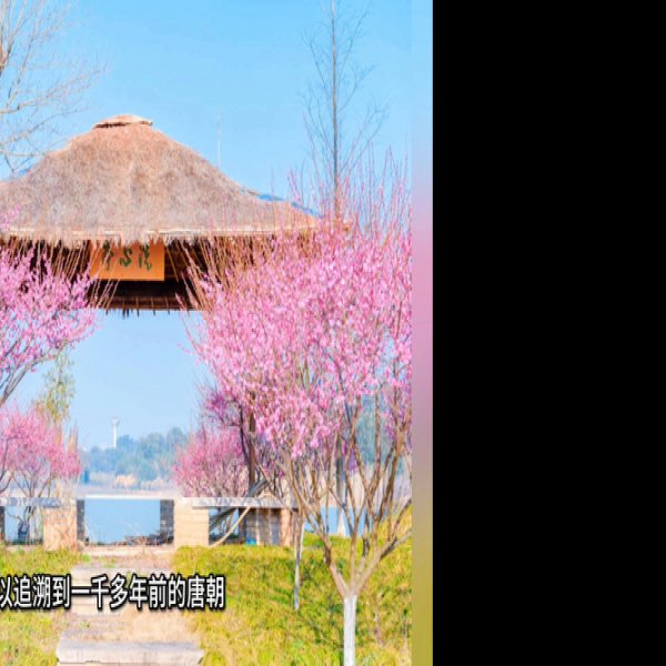池州杏花村 - 图片10