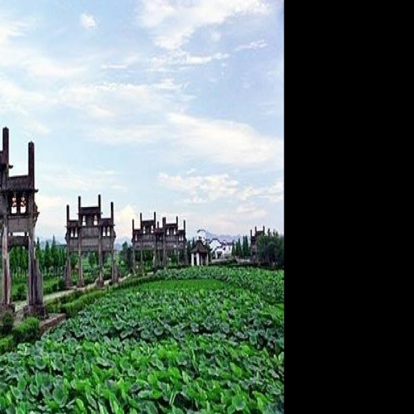 黄山棠樾牌坊群 - 图片7