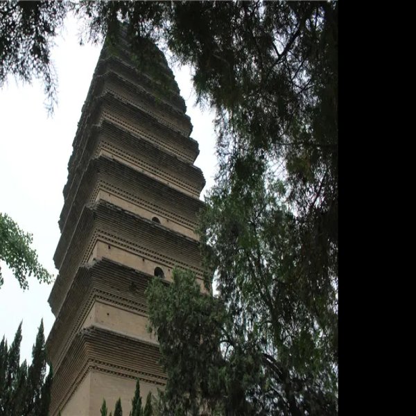 陕西西安小雁塔 - 图片7