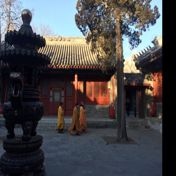 法源寺 - 图片5