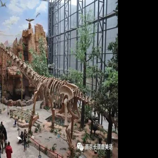 北京地质博物馆 - 图片10