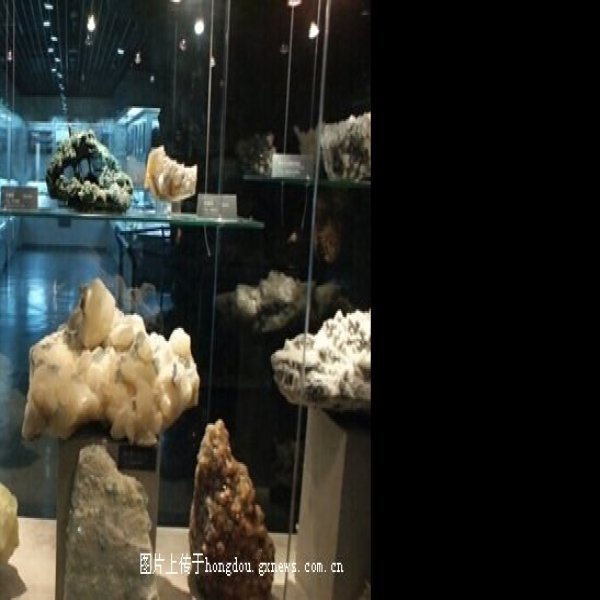 北京地质博物馆 - 图片5