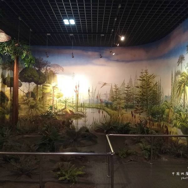 北京地质博物馆 - 图片6