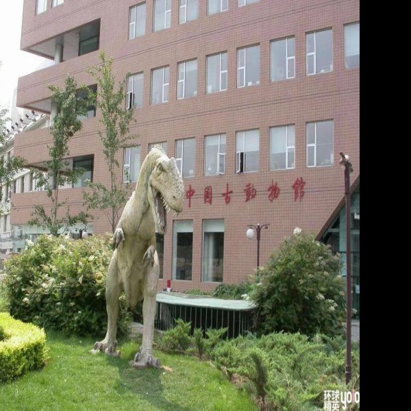 北京地质博物馆 - 图片9