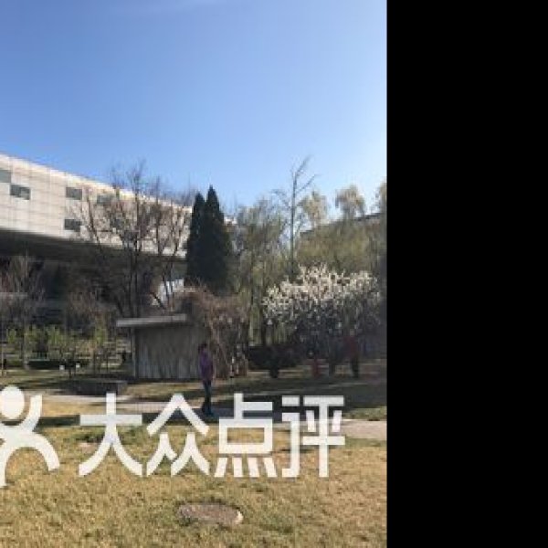 北京国家图书馆 - 图片2