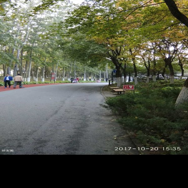 北京奥林匹克森林公园 - 图片10