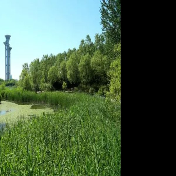 北京奥林匹克森林公园 - 图片3