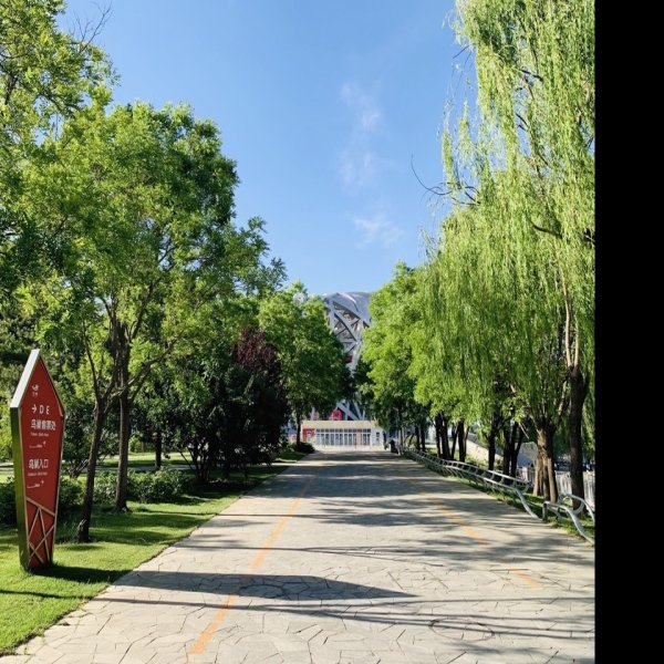 北京奥林匹克森林公园 - 图片6