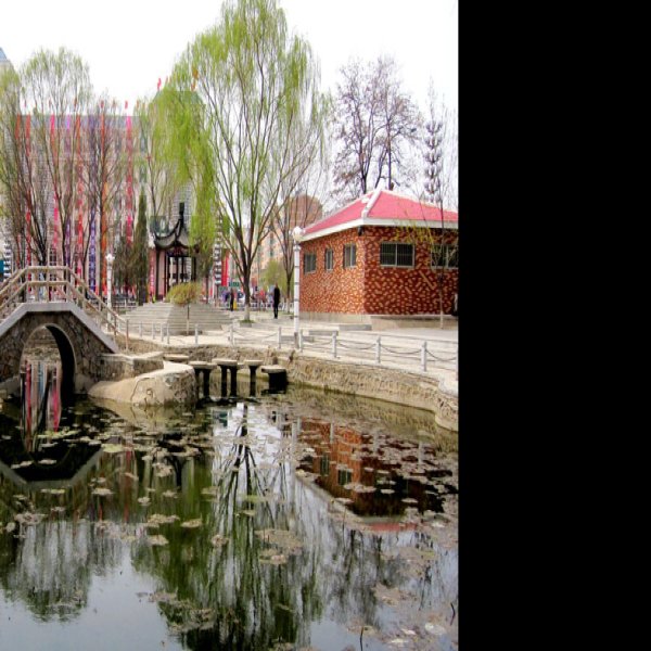 北京朝阳公园 - 图片4