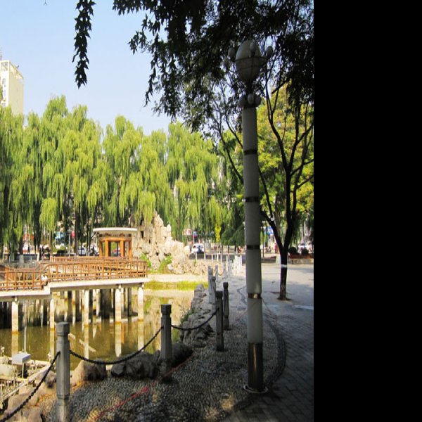 北京朝阳公园 - 图片5