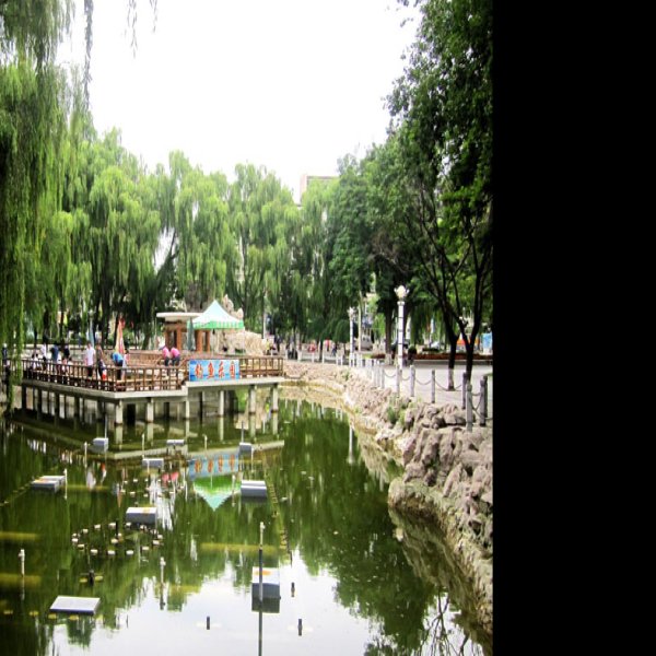 北京朝阳公园 - 图片6