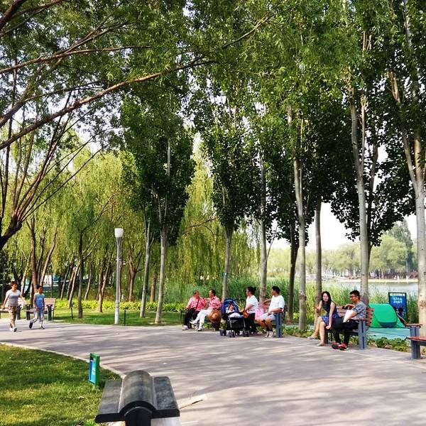 北京海淀公园 - 图片10