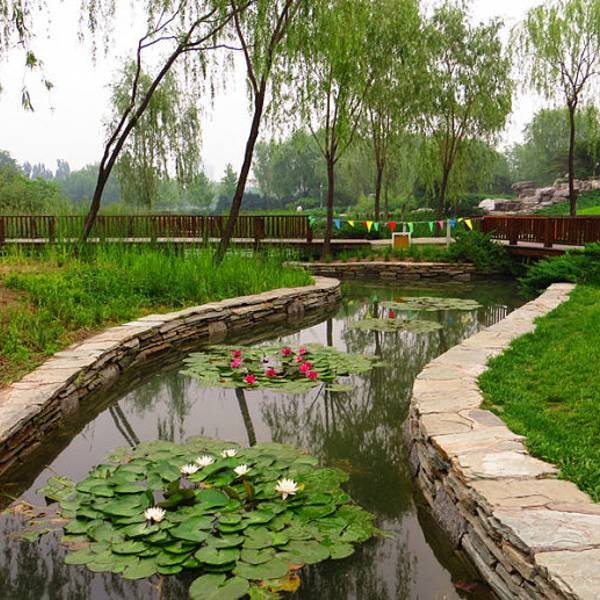北京海淀公园 - 图片3