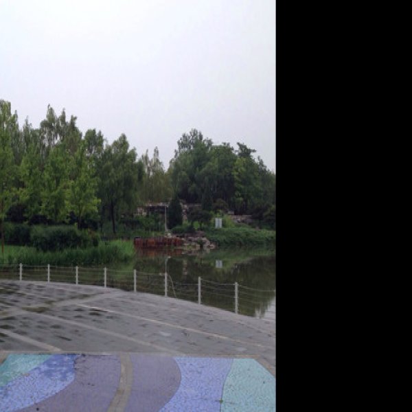 北京海淀公园 - 图片9
