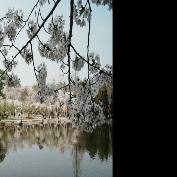 北京玉渊潭公园 - 图片10