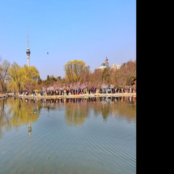 北京玉渊潭公园 - 图片3