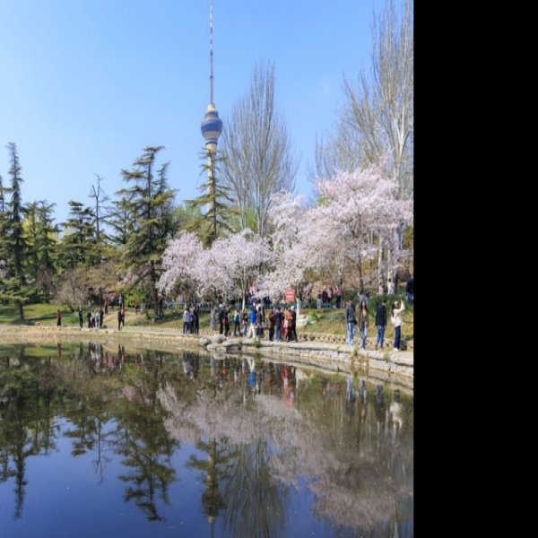 北京玉渊潭公园 - 图片4