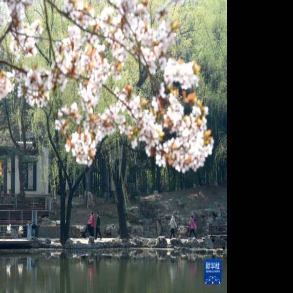 北京紫竹院公园 - 图片8