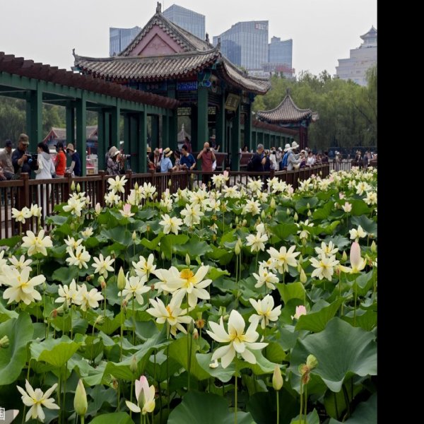 北京莲花池公园 - 图片2
