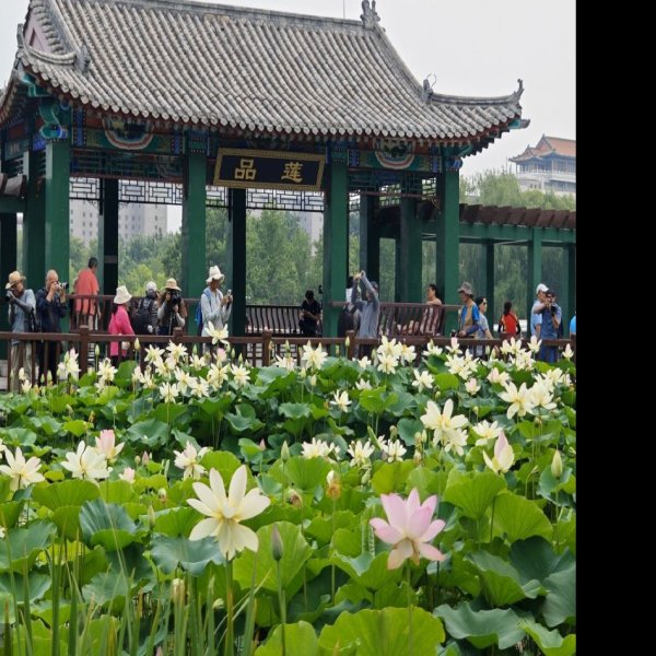 北京莲花池公园 - 图片3