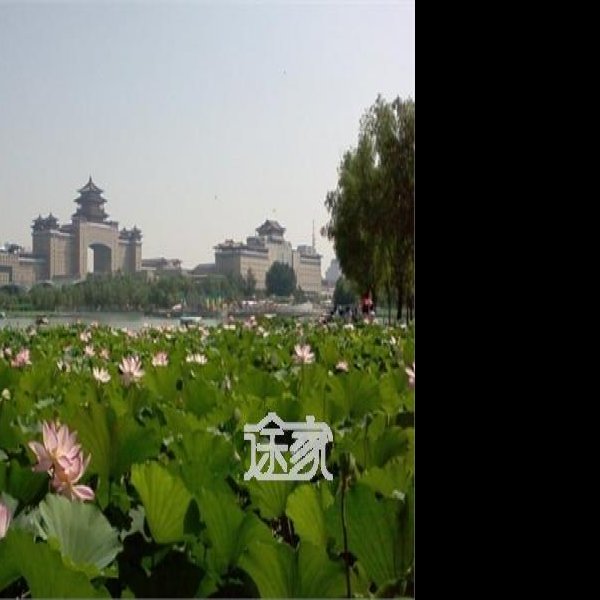北京莲花池公园 - 图片7
