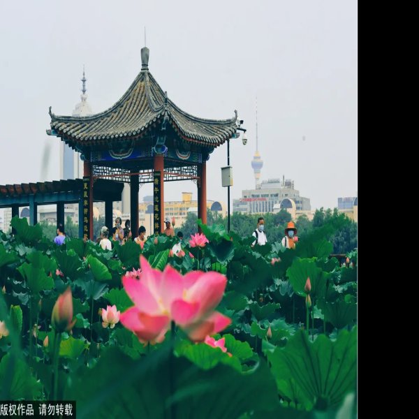 北京莲花池公园 - 图片9