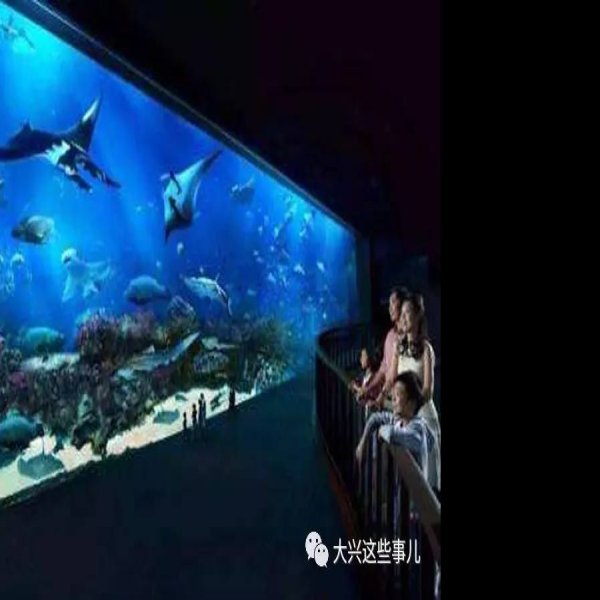 北京海洋馆 - 图片8