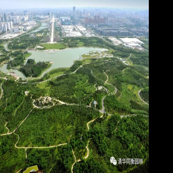 北京奥林匹克森林公园新园区 - 图片3