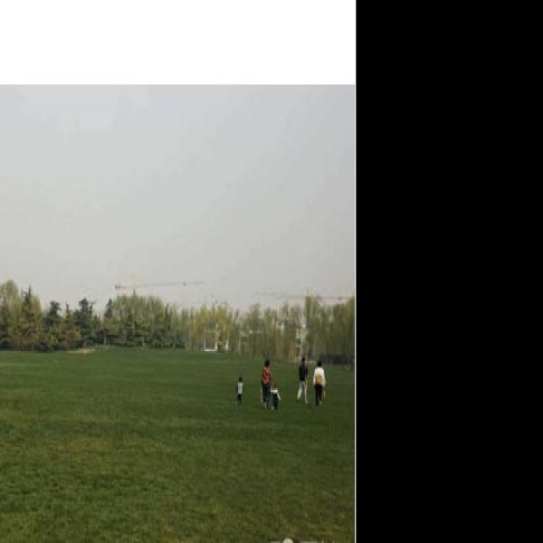 北京朝阳公园新园区 - 图片7