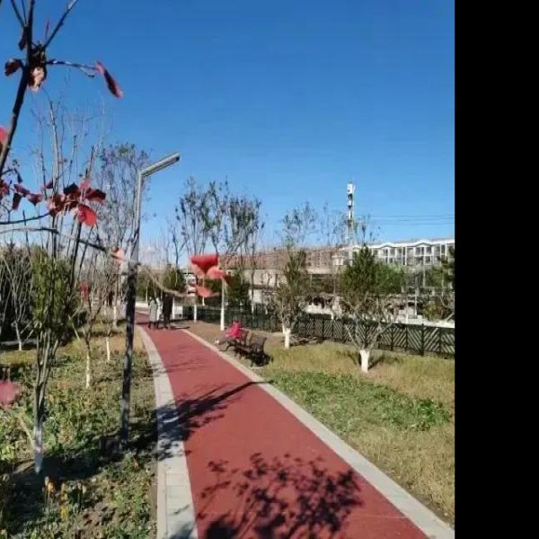 北京海淀公园新园区 - 图片5