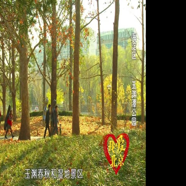 北京玉渊潭公园新园区 - 图片1
