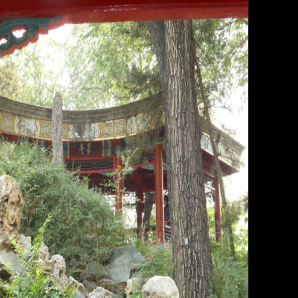 醇亲王府花园 - 图片2