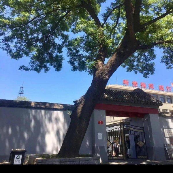 庆亲王府花园 - 图片6