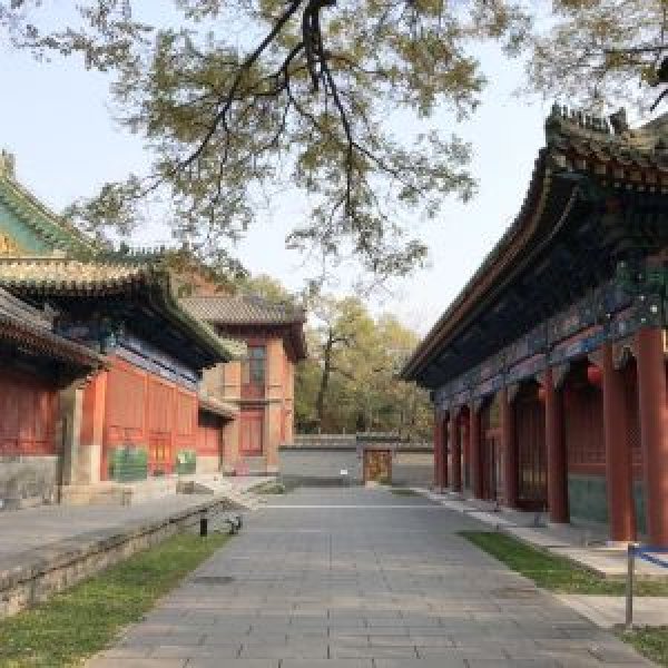 淳亲王府花园 - 图片2