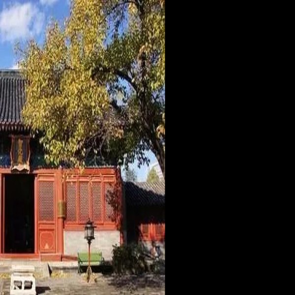 淳亲王府花园 - 图片5