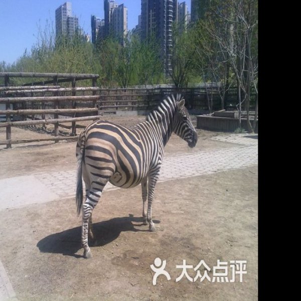 天津动物园 - 图片8