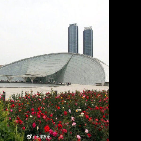 天津自然博物馆 - 图片7