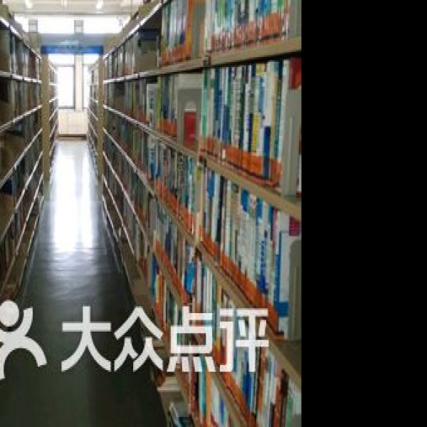 天津图书馆 - 图片5