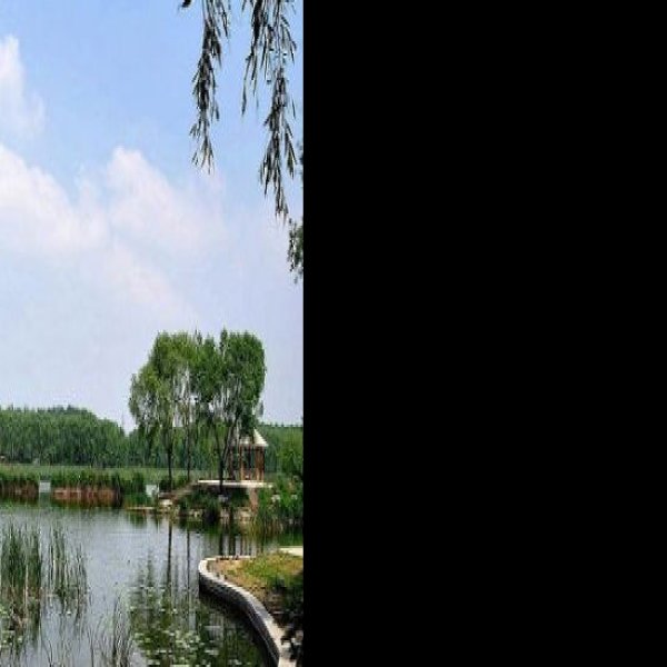 唐山南湖公园 - 图片2