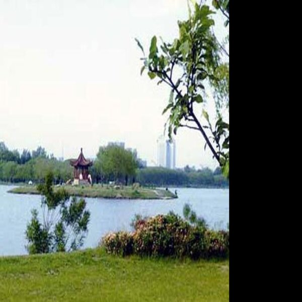 唐山南湖公园 - 图片3