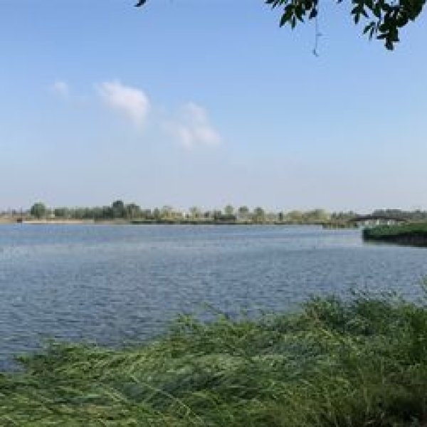 衡水湖 - 图片7