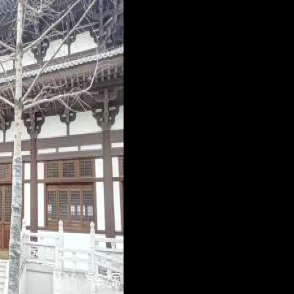廊坊博物馆 - 图片5