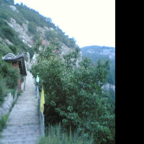 忻州禹王洞 - 图片4