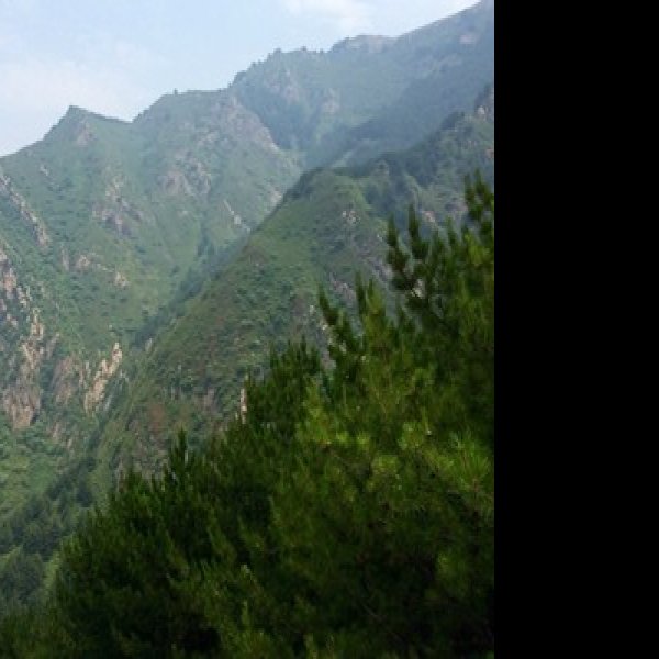 忻州禹王洞 - 图片5
