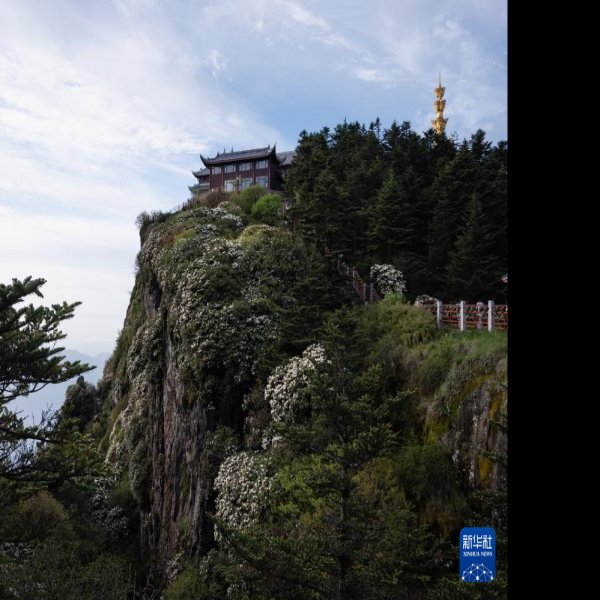 四川峨眉山景区 - 图片8