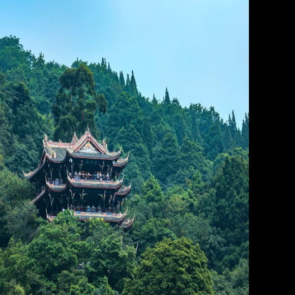 四川青城山景区 - 图片10