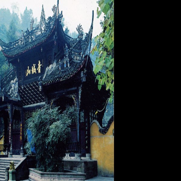 四川青城山景区 - 图片3