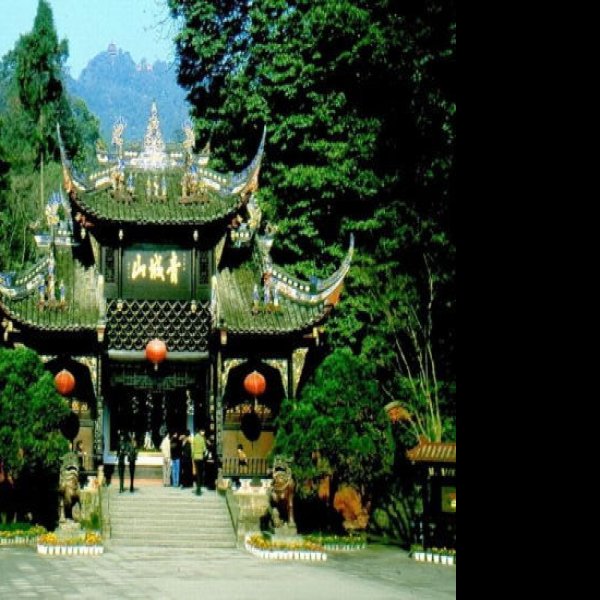 四川青城山景区 - 图片8